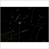 duetart - Vincenzo Agnetti